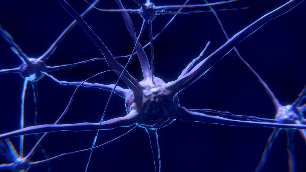 Científicos de Israel podrían haber descubierto tratamiento para prevenir el Alzheimer 