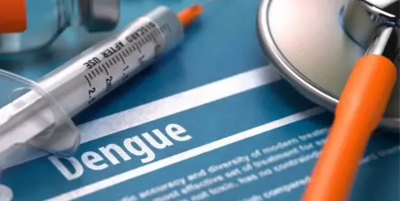 Hay 16.143 casos de dengue en el país y apresuran una vacuna