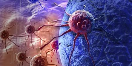 Vacunas contra el cáncer, ronda de 67,5 millones de euros para Nouscom. El fondo italiano Indaco Bio participa en la recaudación